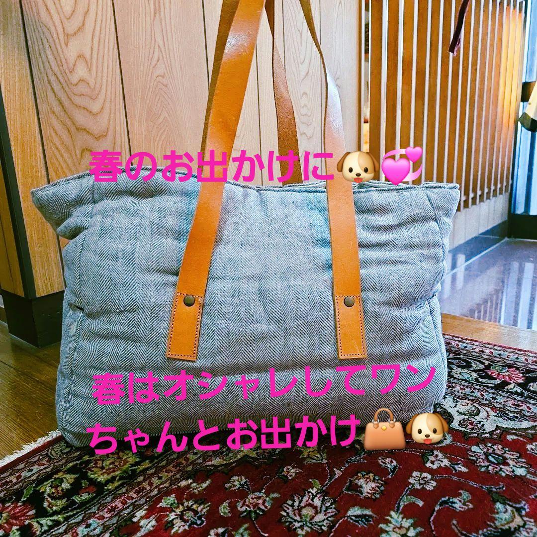 LA 発Louis dogのキャリーバッグ