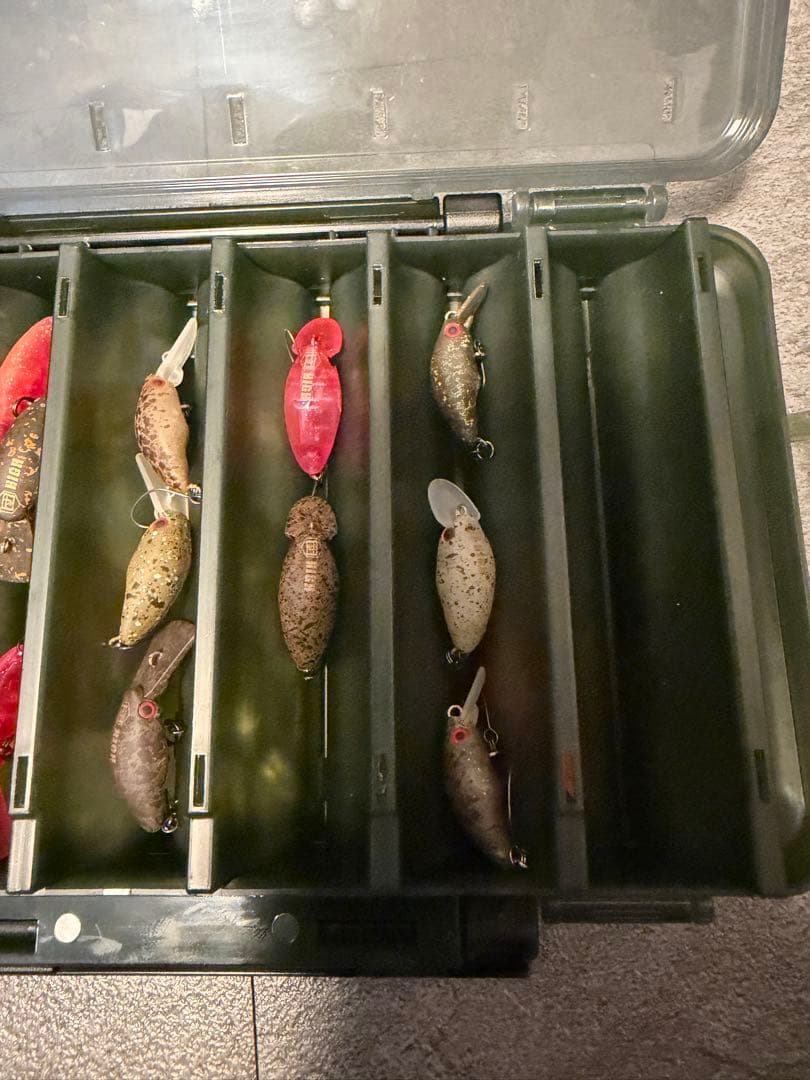 ダンゴウオ　　団子魚15個セット