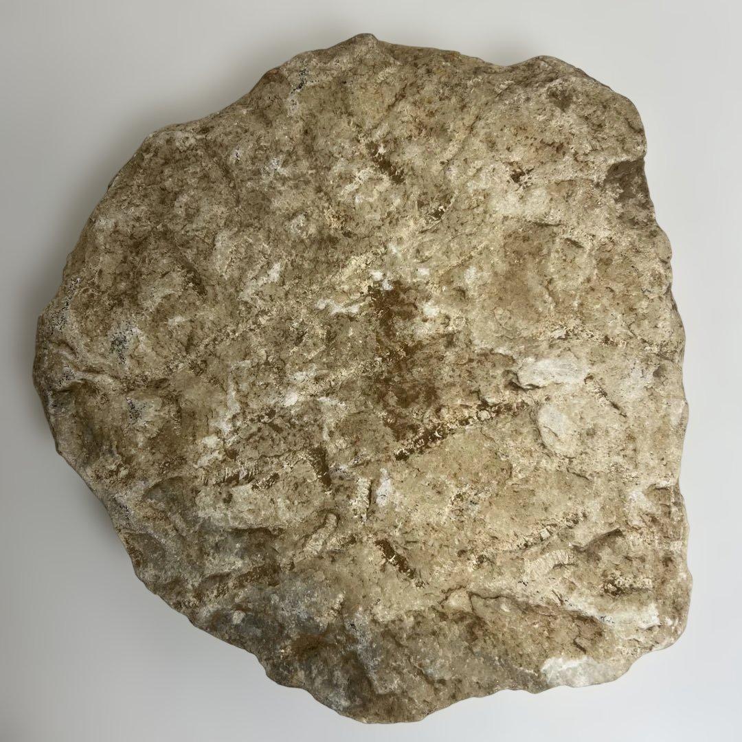 中国清時代　大理石　硯　盲仏　幅25㎝ 東K8-0202① タサコサ