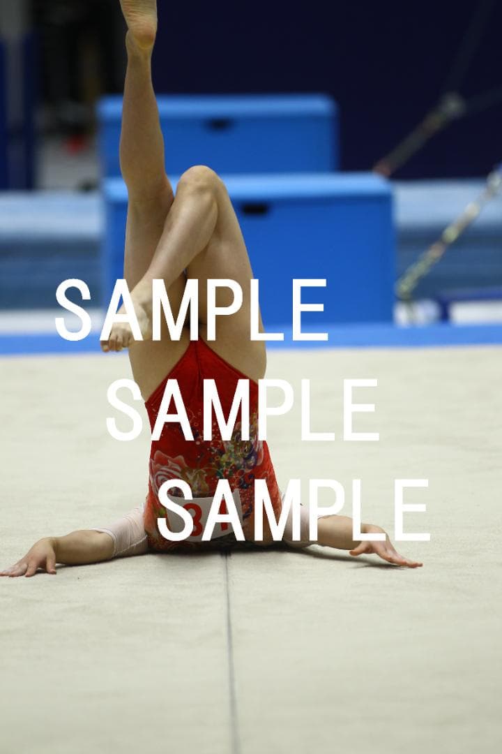 ★9/15まで値引★日本女子体操選手画像集(2019年) 約82,500枚