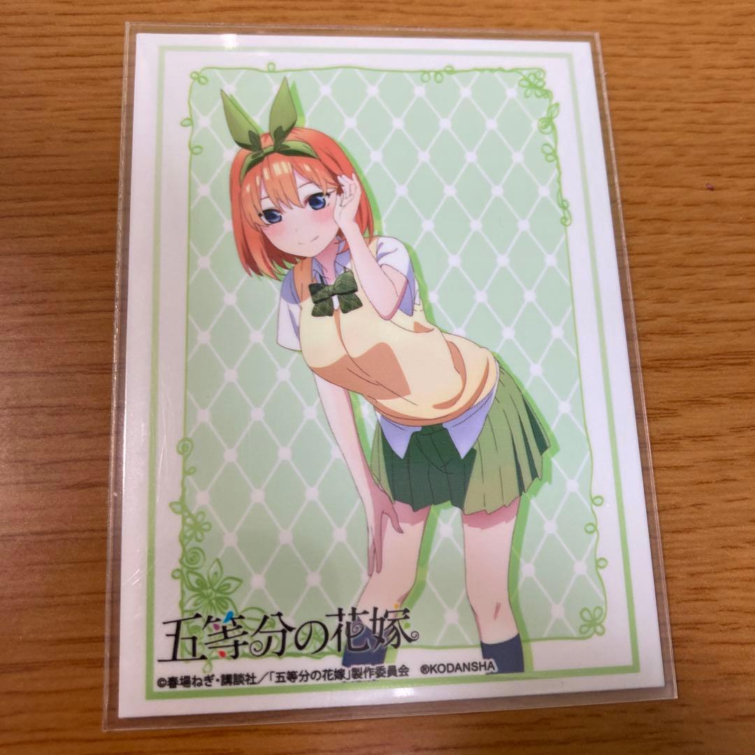 赤緑モルトネクスト