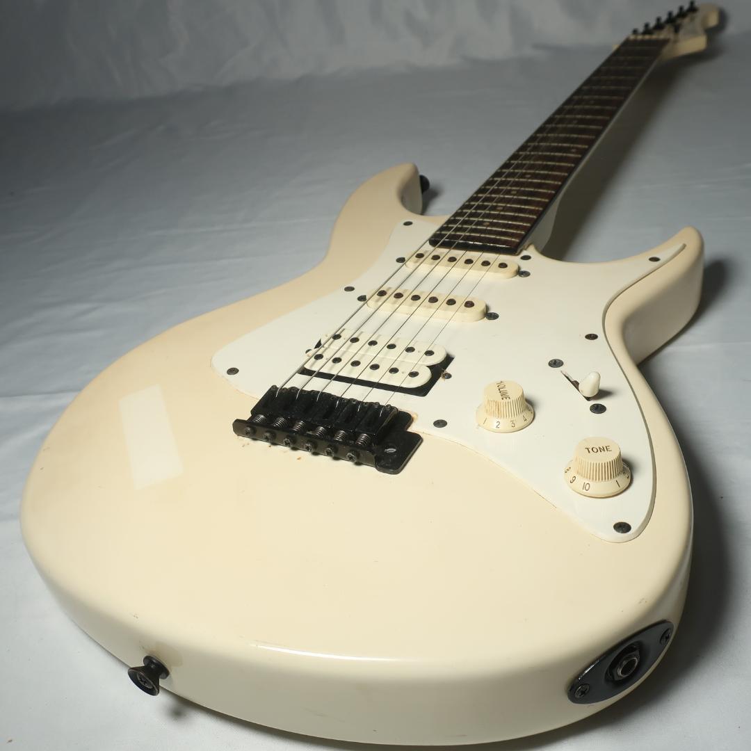 Black Dog by Aria ProⅡ ギター ケース付 コイルタップ搭載