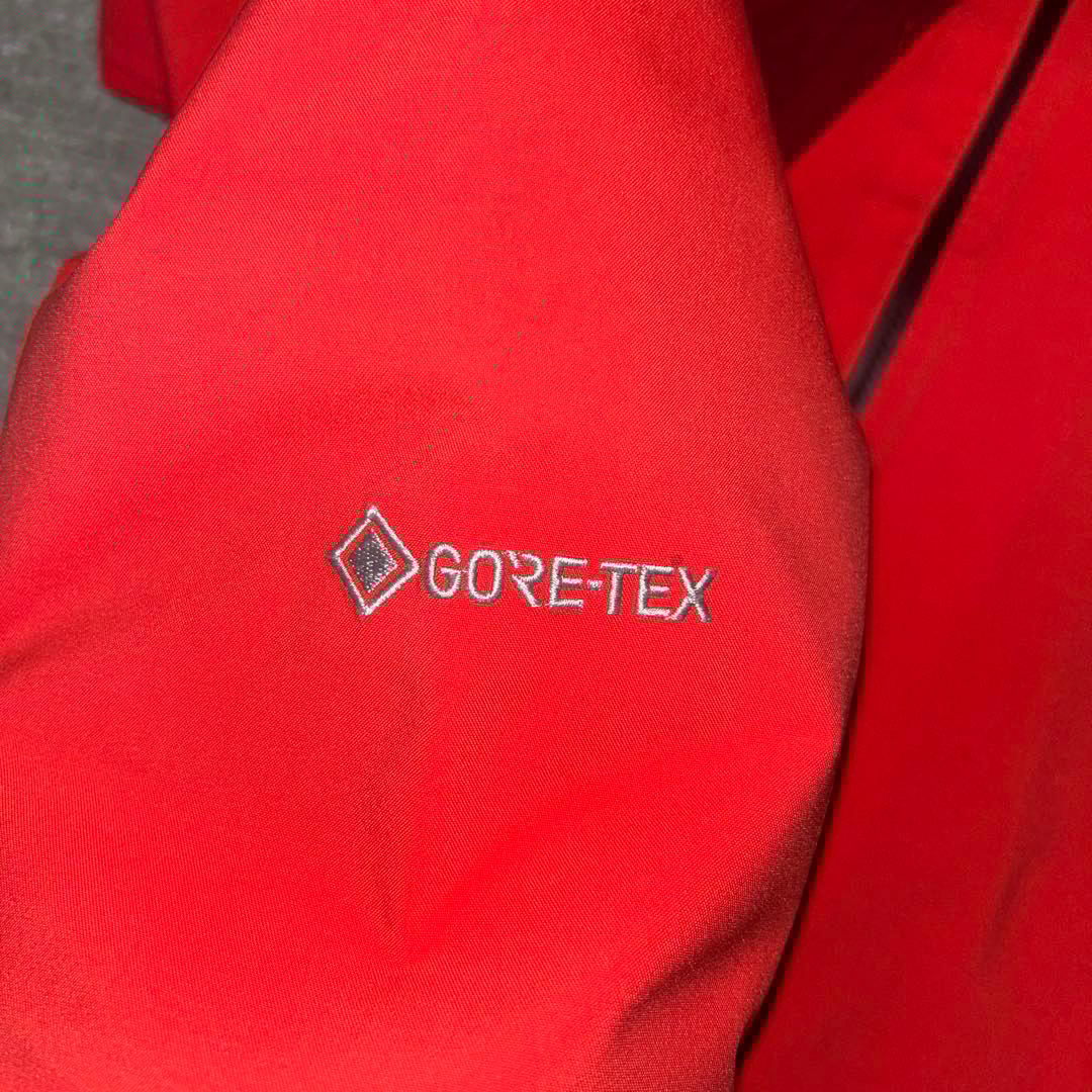 ゴールドウィン スキーウェア上下　レディースL