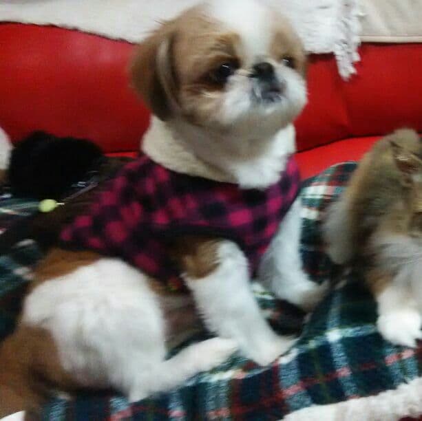 kei shop  様     確認用