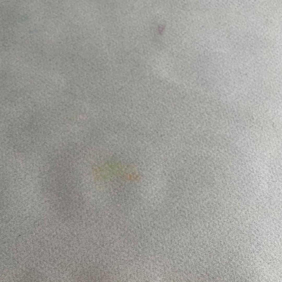 パステル画/色褪せない花束の贈り物/癒し/ヒーリング/パワースポット/ビバーナム