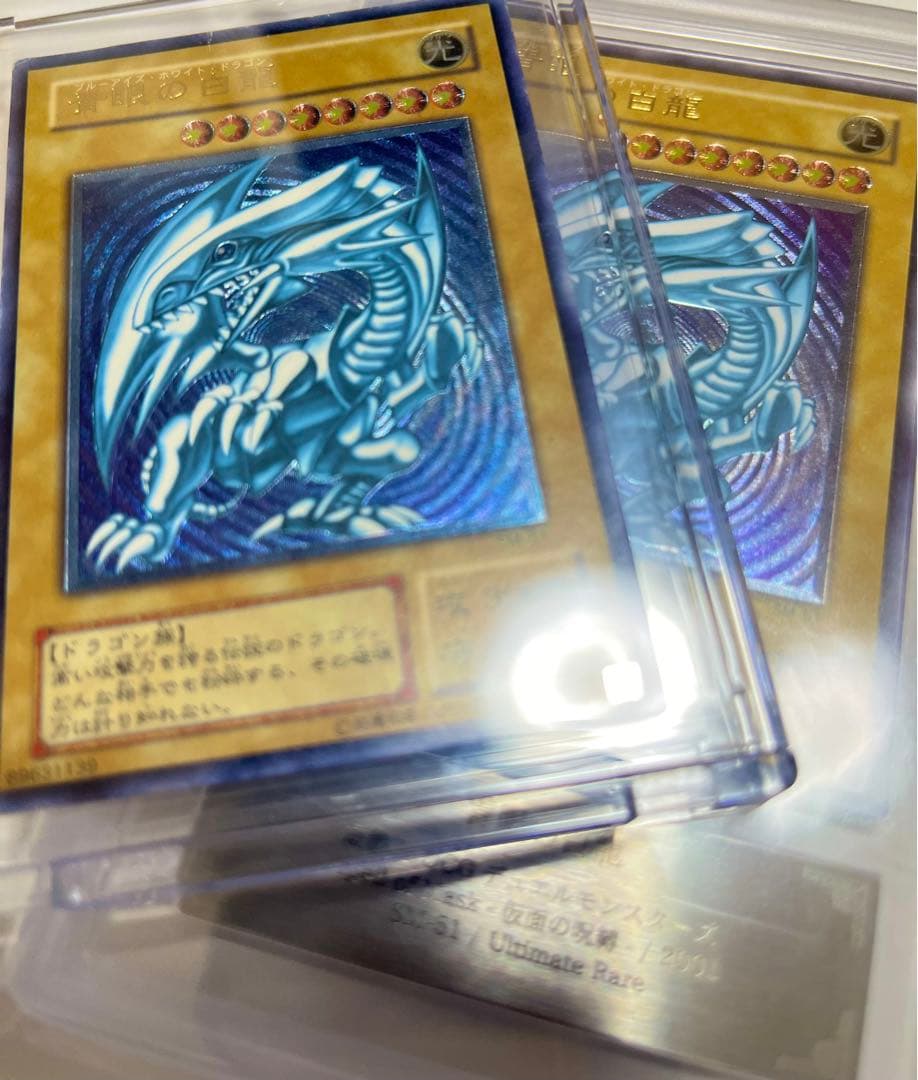 P*o様 青眼の白龍　レリーフ　濃青艶　sm-51 レリブル