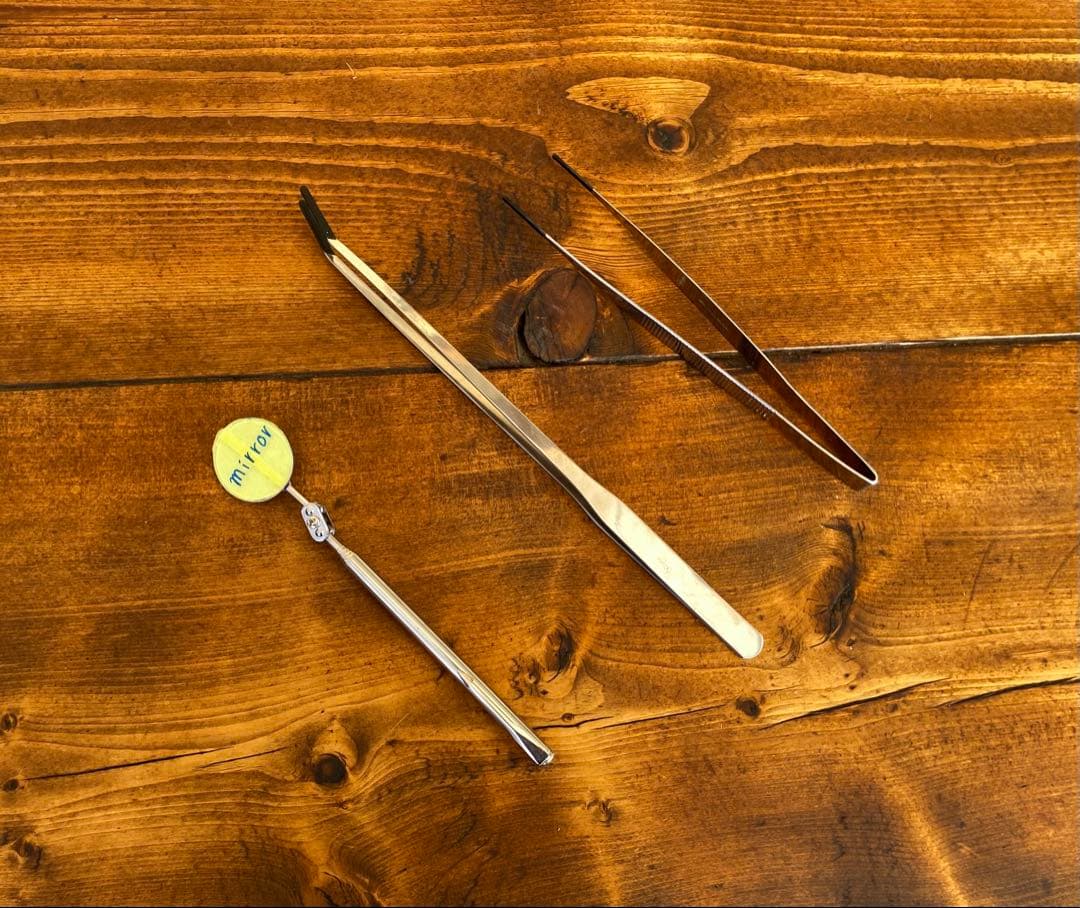 クワガタ採集セット　ブルー　オリジナル掻き出し棒　デジタルノギス　採集ケース