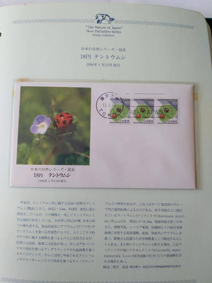 初日カバー マキシマムカード 日本の自然シリーズ切手コレクション① 36通 新品