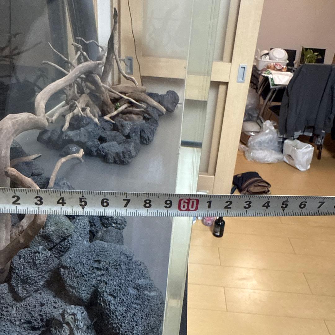 大きなガラス水槽 内蔵フィルター付き