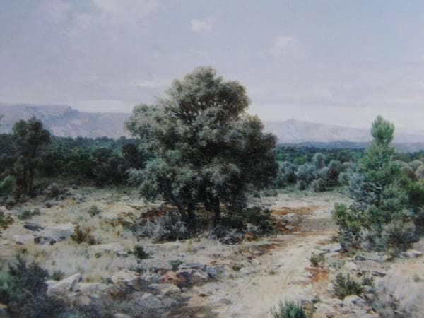 ゴンサーロ・サルバ、ネグレテ山脈の風景、新品額装付、画集画