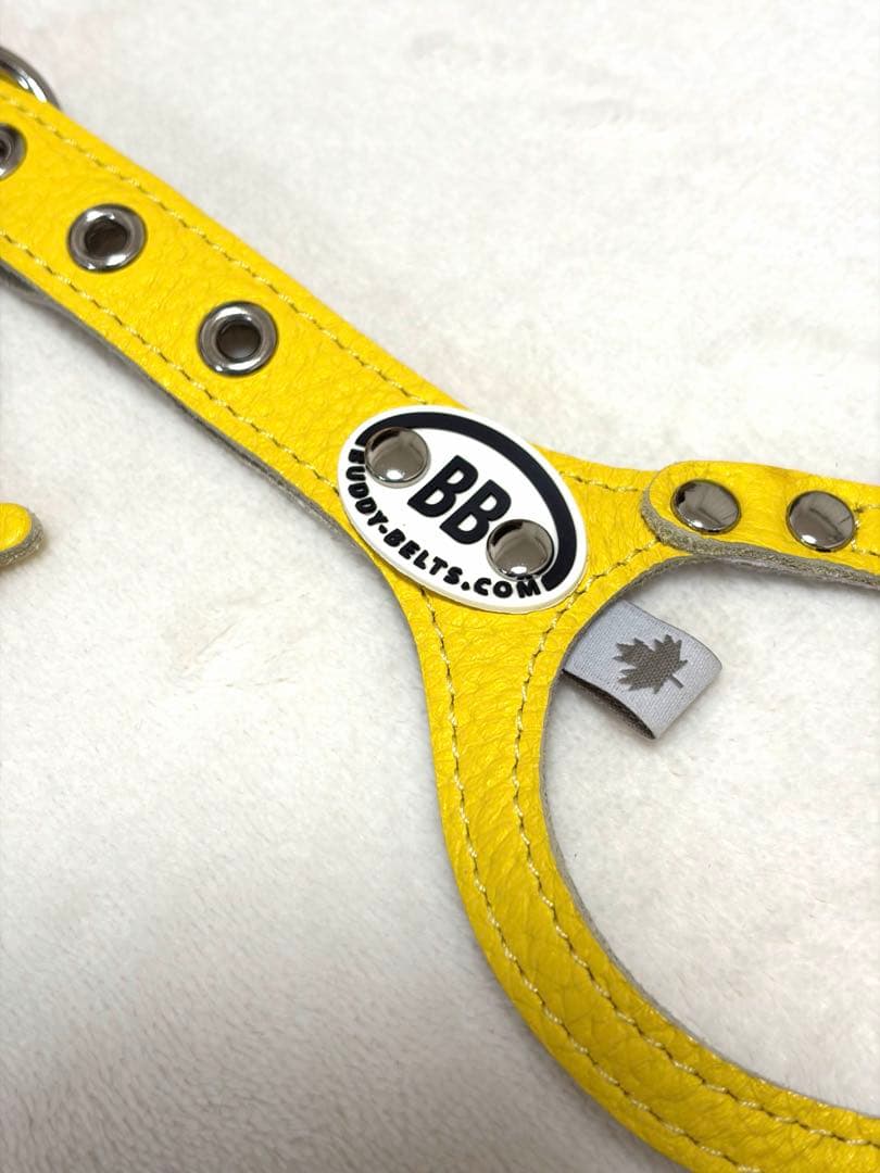 【試着のみ】Buddy Belts バディーベルト イエロー ハーネス サイズ3