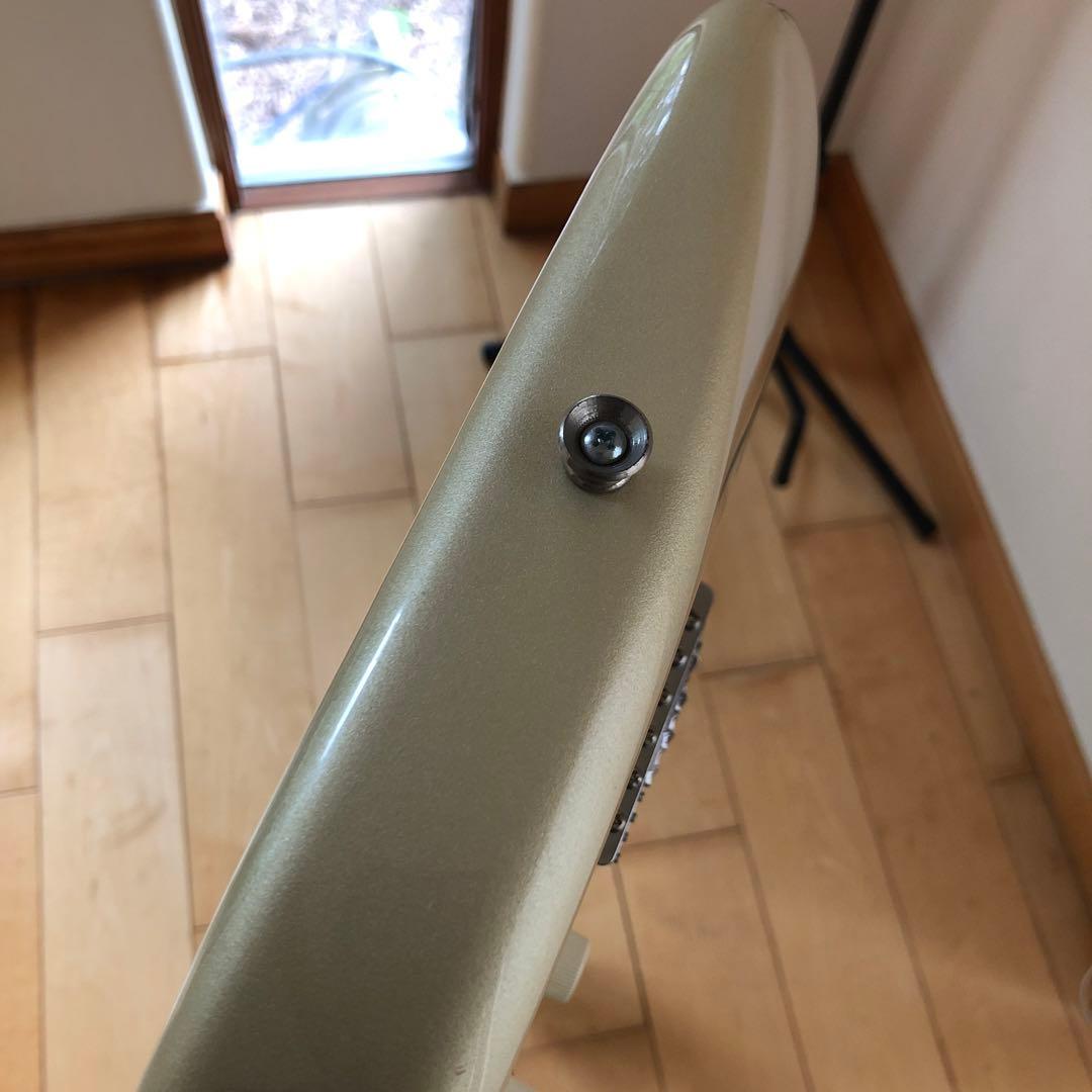 ギター Fender Stratocaster 60th anniversary