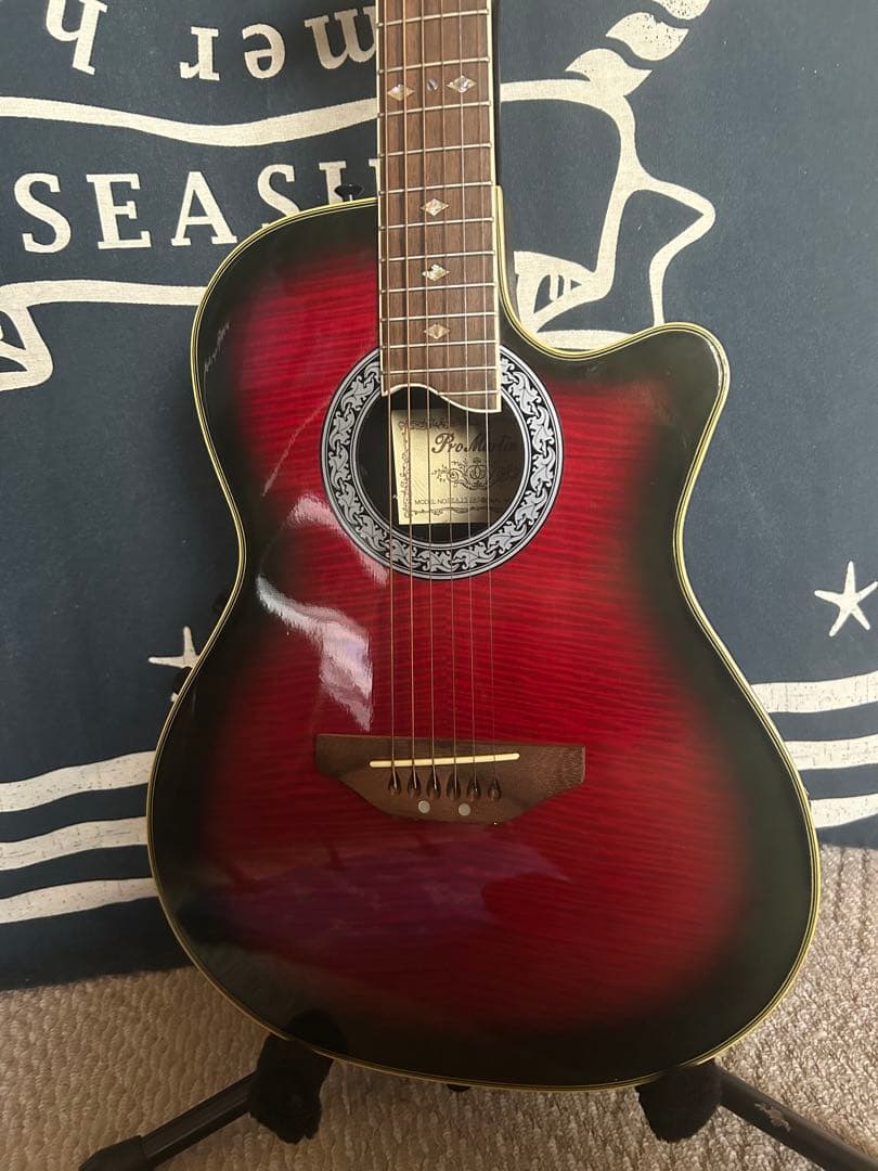 今月特価‼️90年代❣️ProMartinトラベルsizeエレアコ　SEA350RS