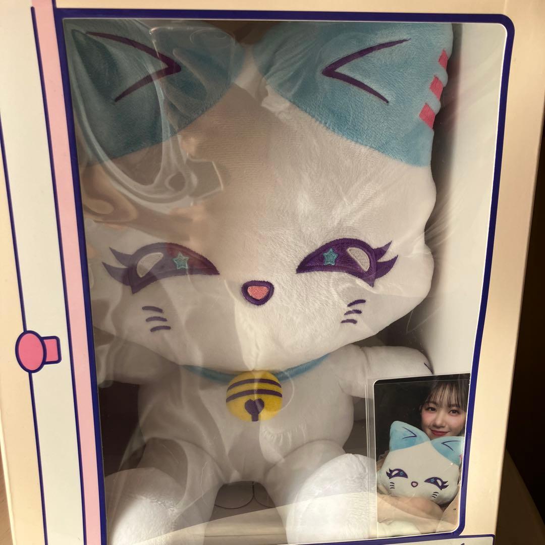 【最終値下】加藤 心 CORON おすわりME:EYE's