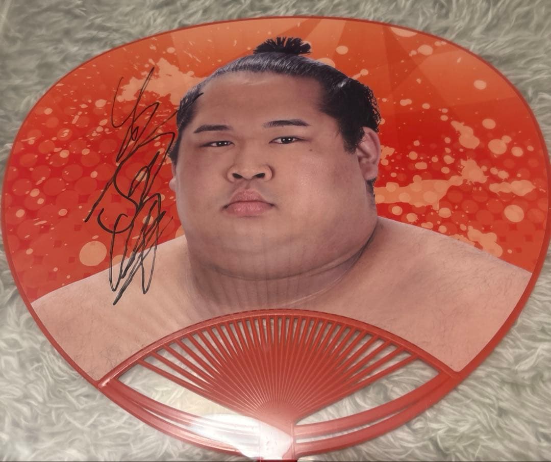 【超貴重サイン入り】公式 応援うちわ 生田目関