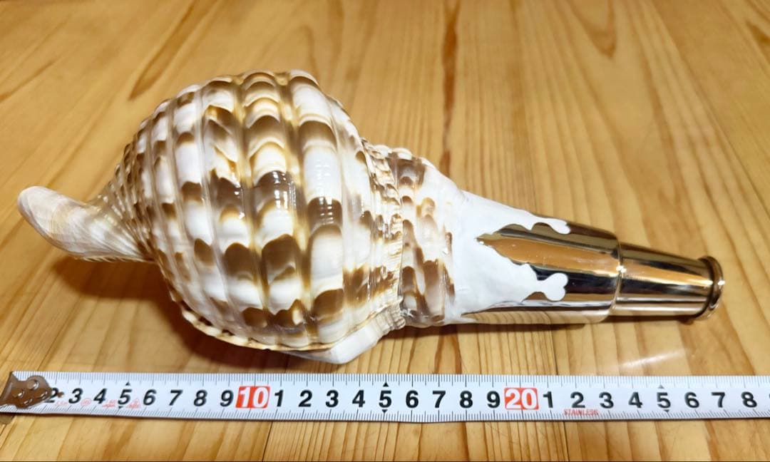 希少セイヨウ法螺貝　山伏　密教　魔除け熊よけホラガイ　ほら貝