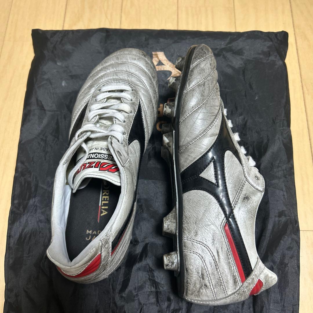 A型さん専用モレリア2JAPAN 24.5cm