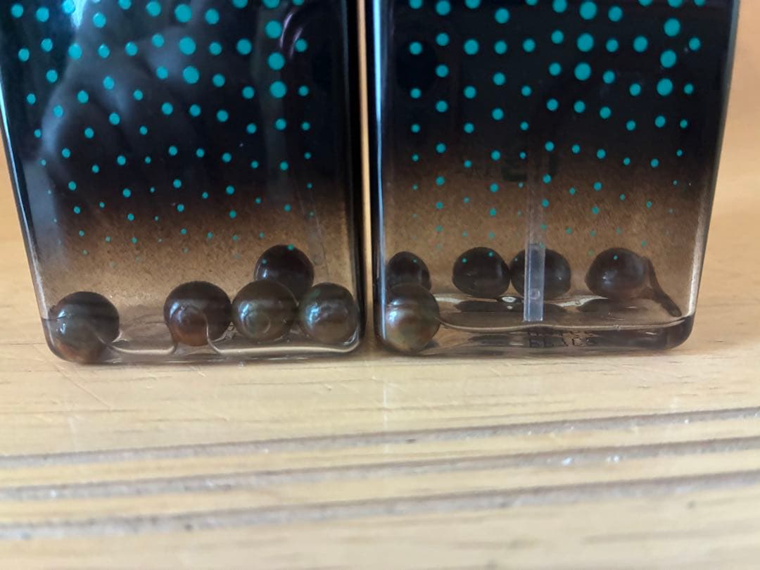 ワールドレップサービス　アースボールのみ