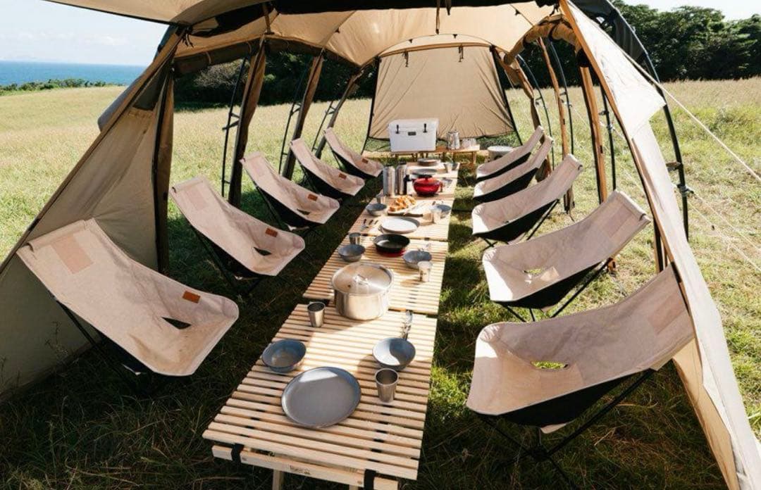 『期間限定値下げ』サバティカルアルニカ