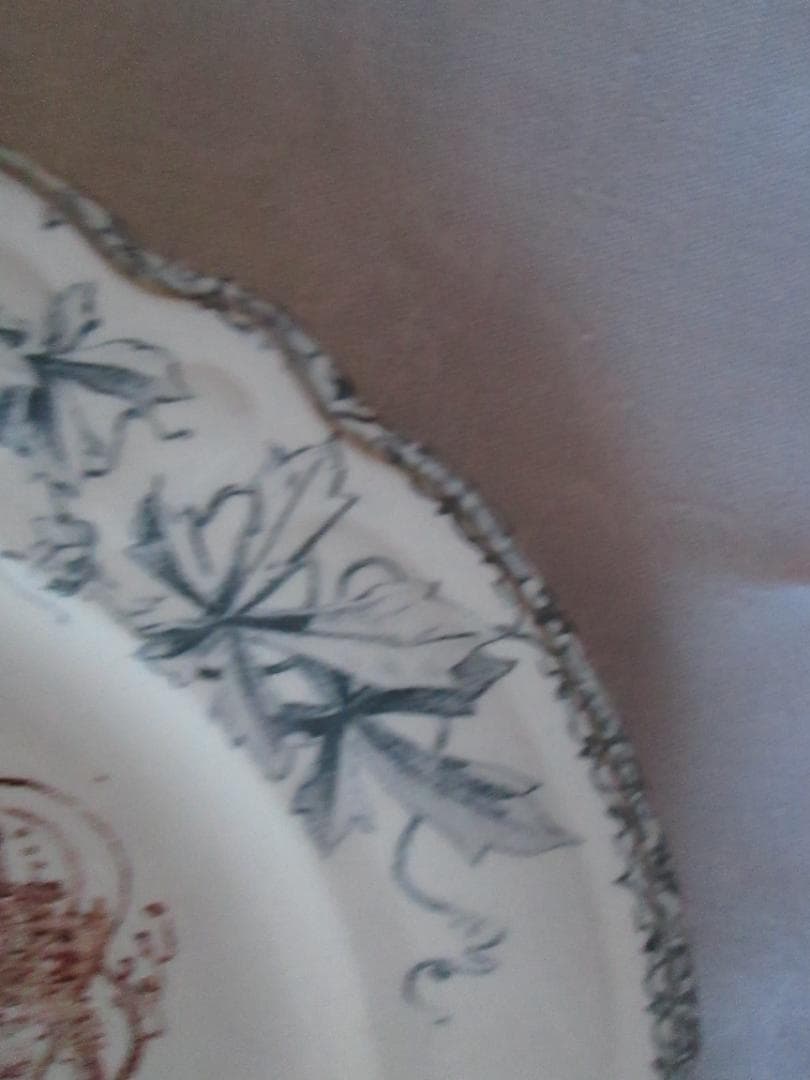 ショワジールロワ ディナープレート LOUIS XIII（ルイ13世）