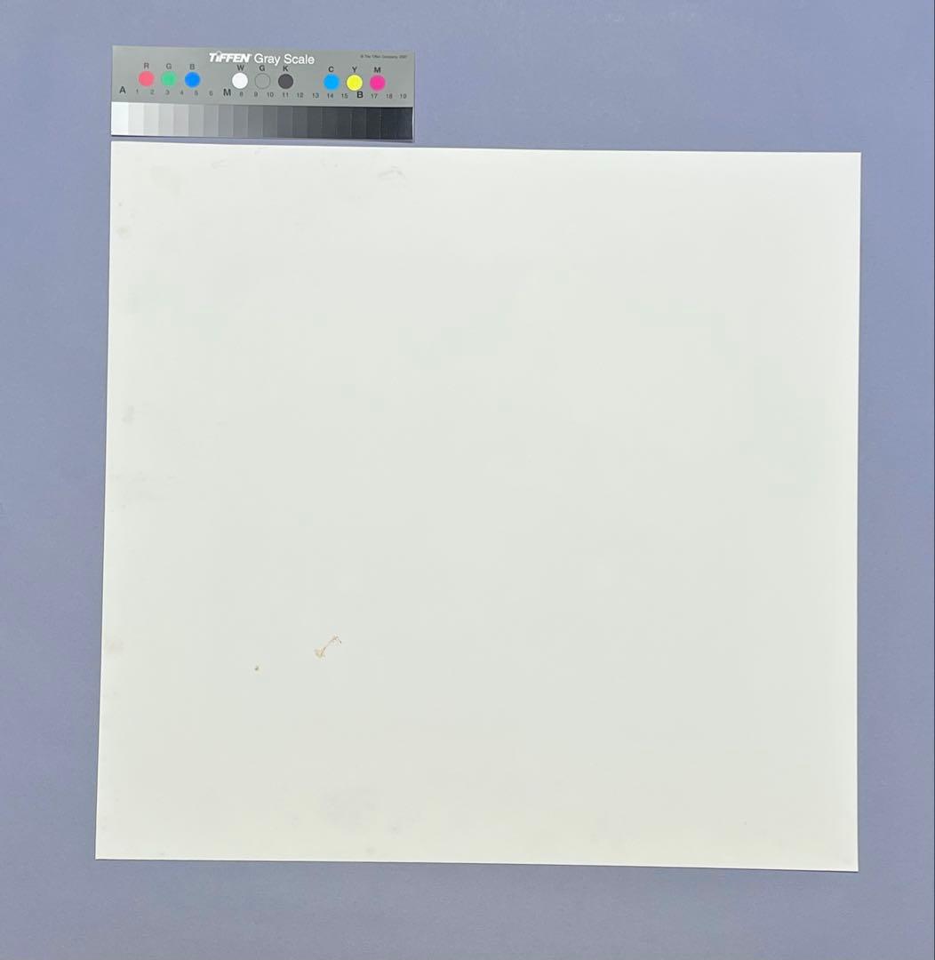 Fujiko Hemming真作保証フジコ・ヘミングFuzjko Hemming