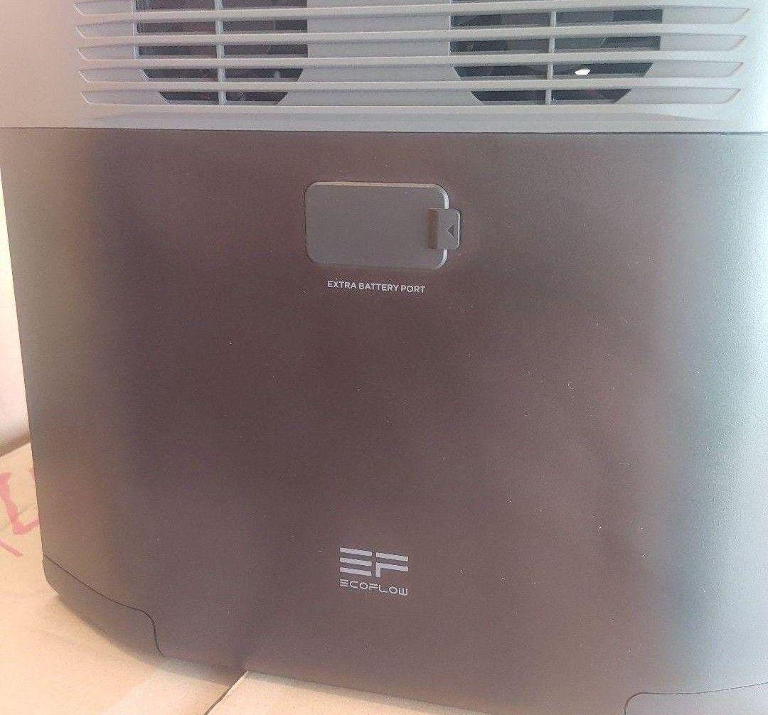 ぶ*る様 正規整備済品　EcoFlow DELTA 2 ポータブル電源