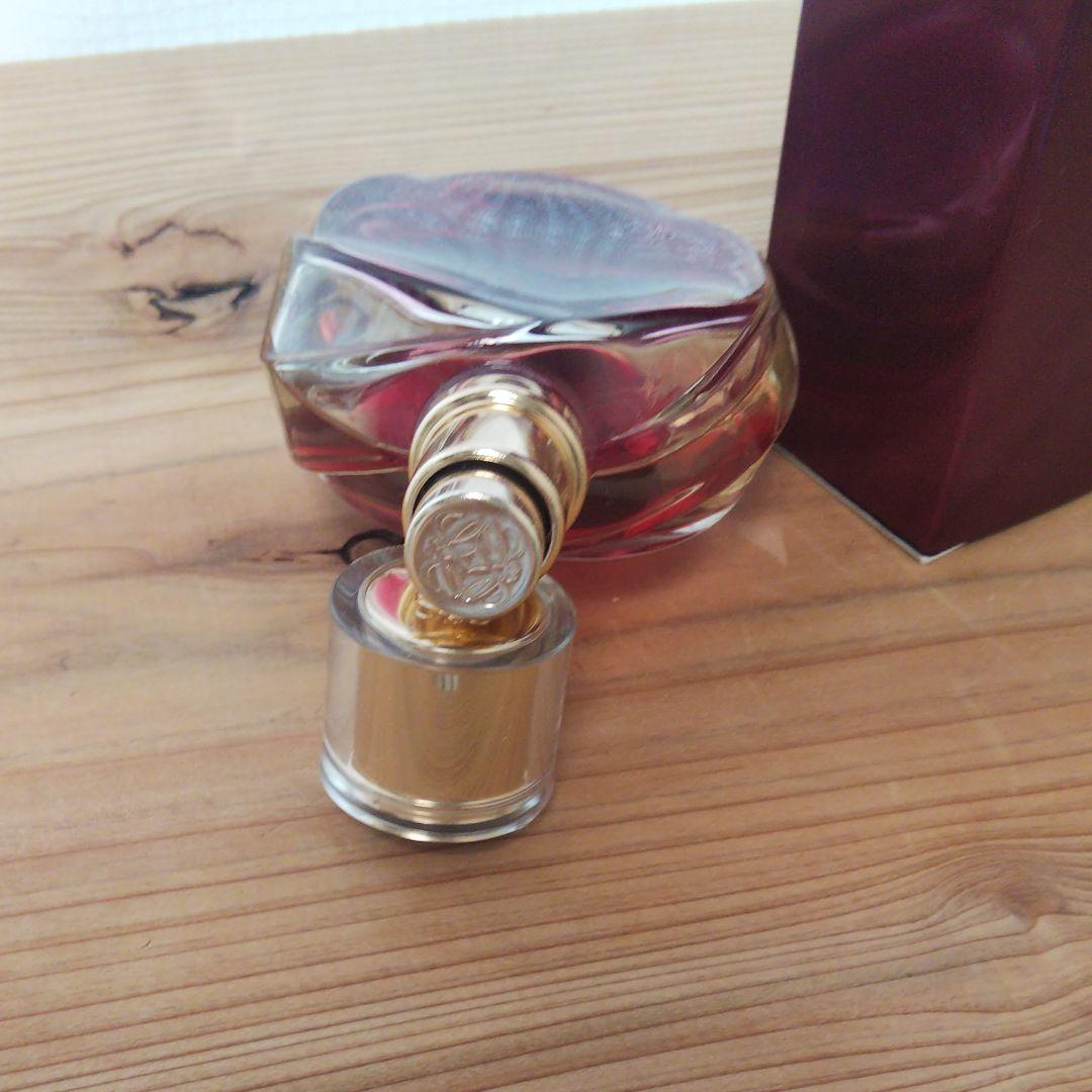 希少 レア ロエベ キサスキサスキサス パシオン 限定 廃盤