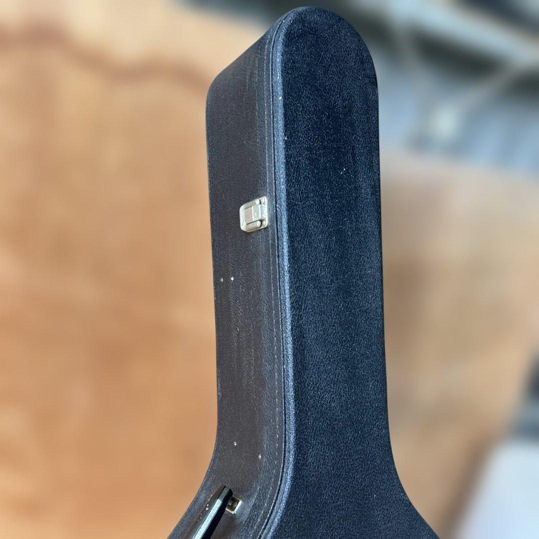 Morris アコースティックギター スプルース