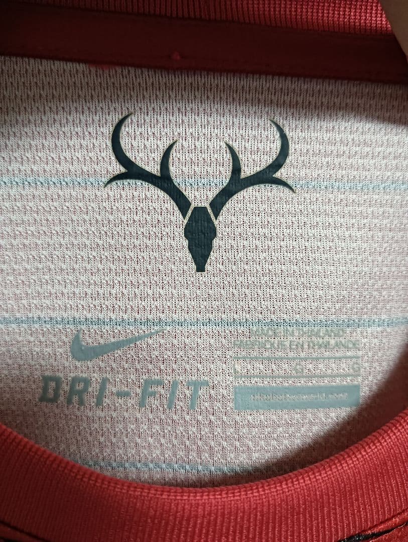 ナイキ 鹿島アントラーズ 本山雅志 ユニフォーム 2013ホーム L