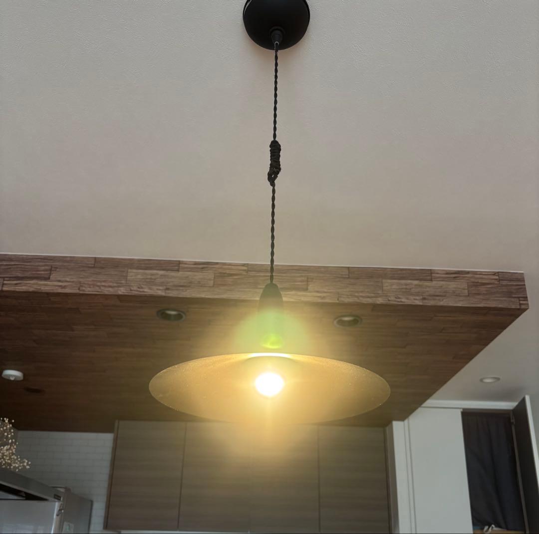 ARTWORKSTUDIO ブラック ペンダントライト