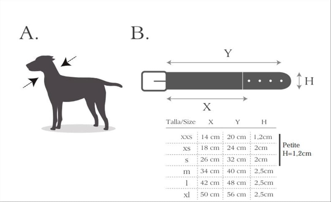 Etna Red スペイン製 高級犬用リード（小型犬　中型犬）