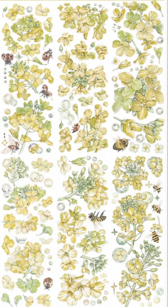 贝壳光 花虫渡 ダイカット加工 6cm×5m 海外マスキングテープ