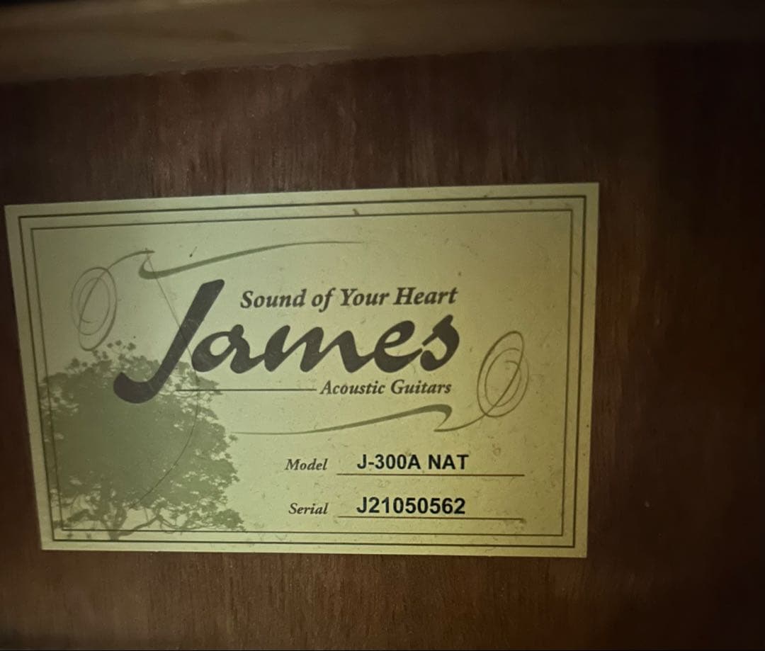 ギター James J-300A NAT