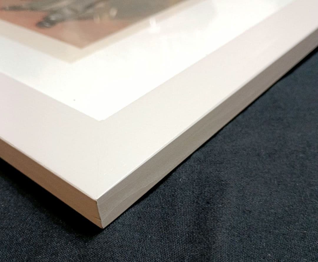 額装品　クロモリトグラフ　VANITY FAIR 1905年「天文学者」レア作品