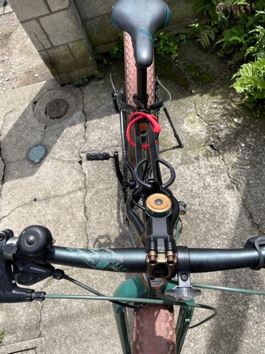 自転車本体 Momentum