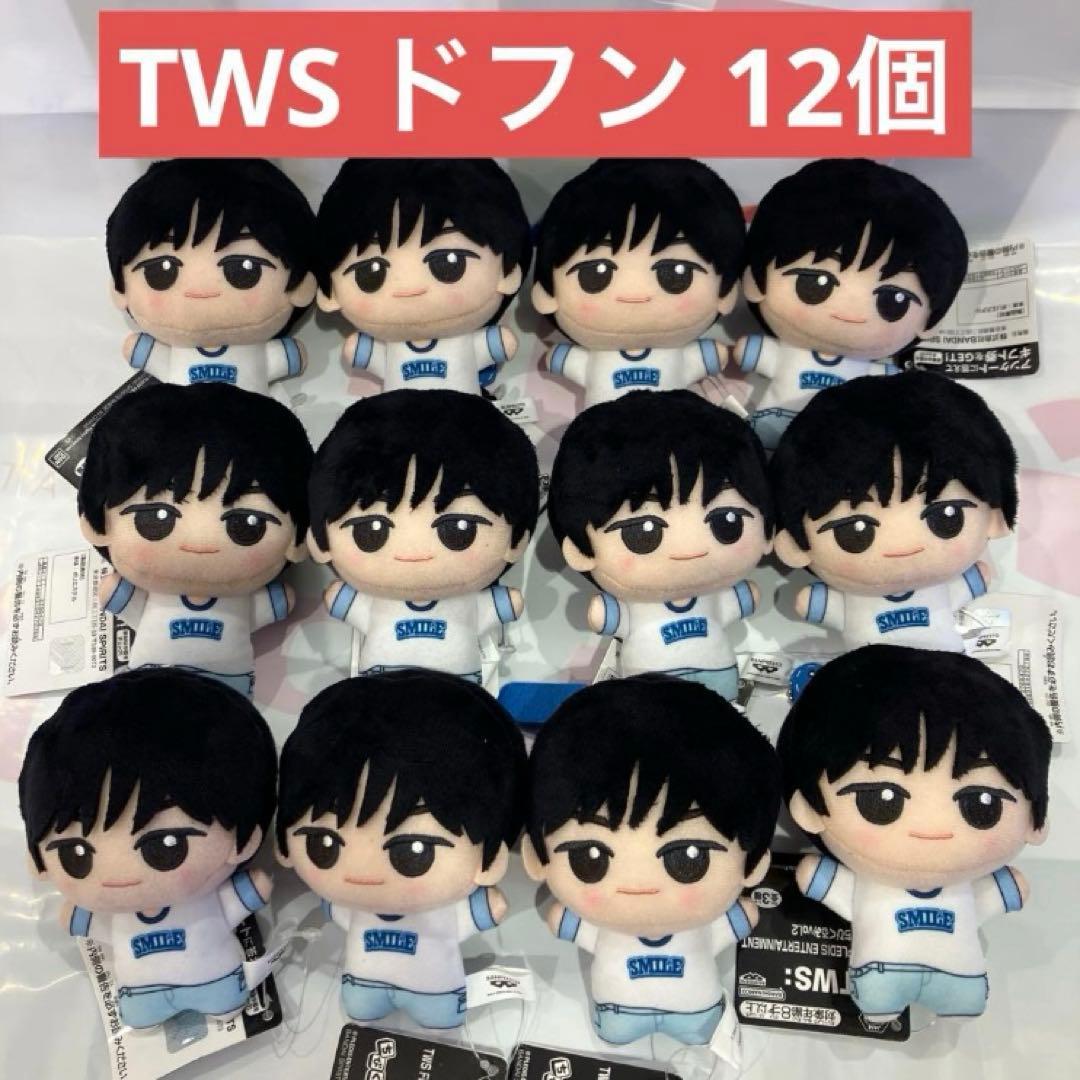 DOHOON ドフン TWS ちびぐるみ vol.2 トゥアス 12個 0211