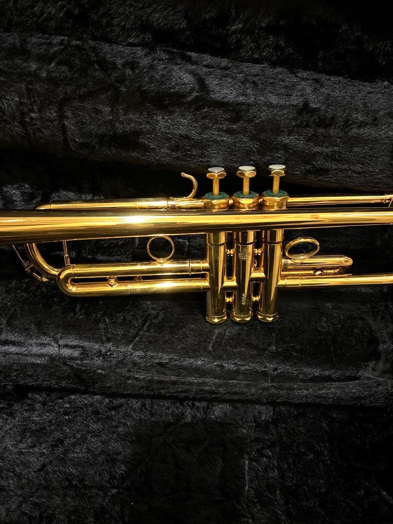 シルキー　 S22 GP 美品！送料無料！