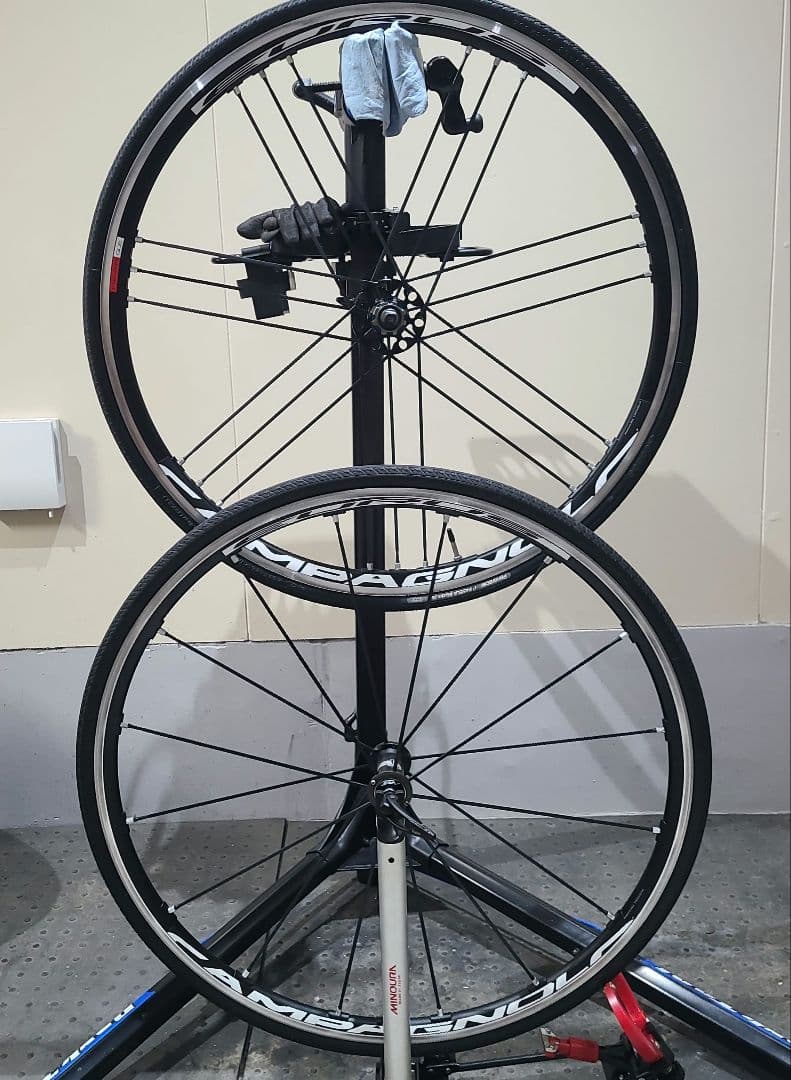 CAMPAGNOLO EURUS15c　カンパフリー　 前後 リム　タイヤ無