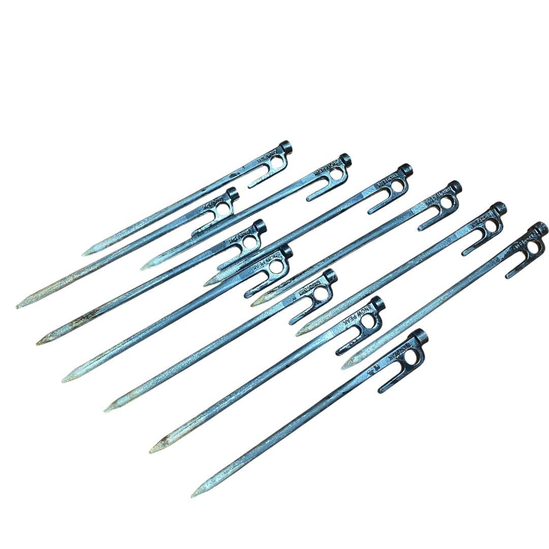 最終値下げ‼️【廃盤/希少】THE NORTH FACE GEODOME4 テント