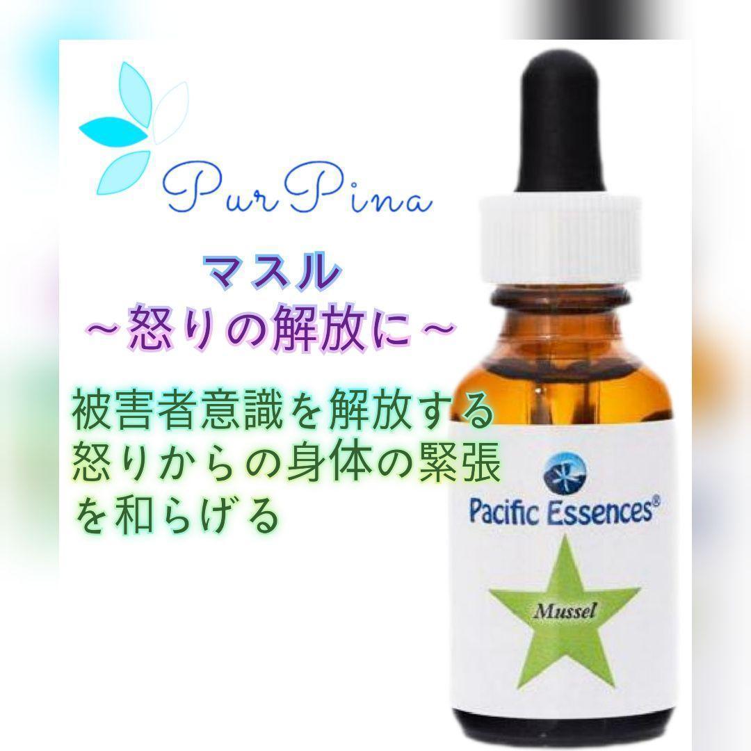 【専用】ハートスピリットエッセンス　パシフィックエッセンス　フラワーエッセンス