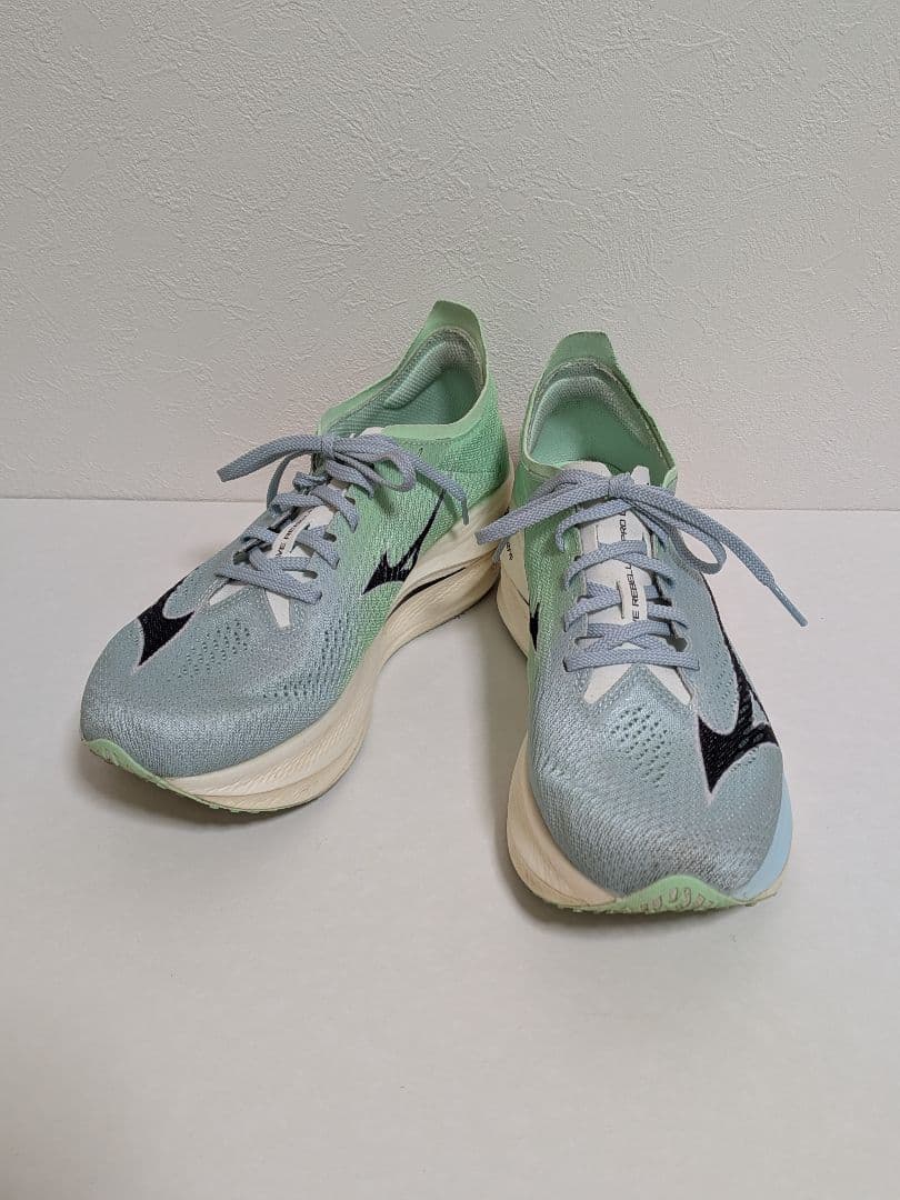 25.5cm MIZUNO ウェーブリベリオンプロ Low ミズノ