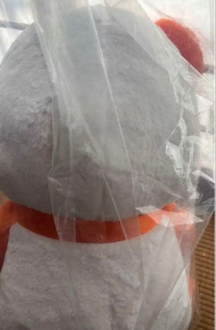 AAA 15th Anniversary え～パンダ