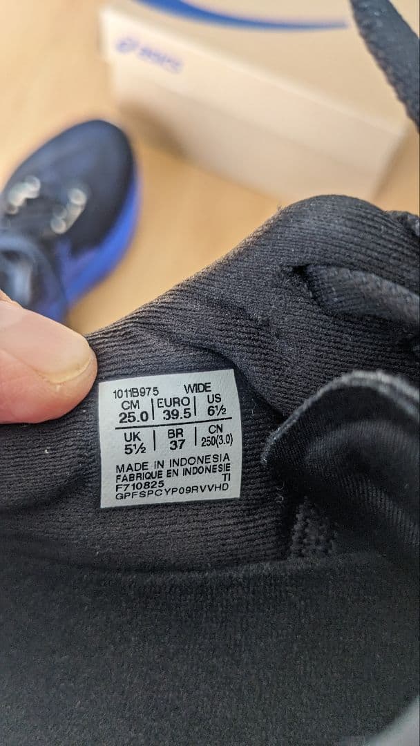 ASICS ノヴァブラスト5 NOVABLAST5 25.0cm