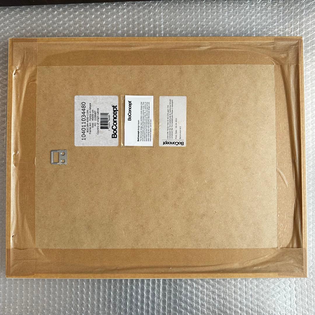 BoConcept ボーコンセプト アートパネル Form in nature
