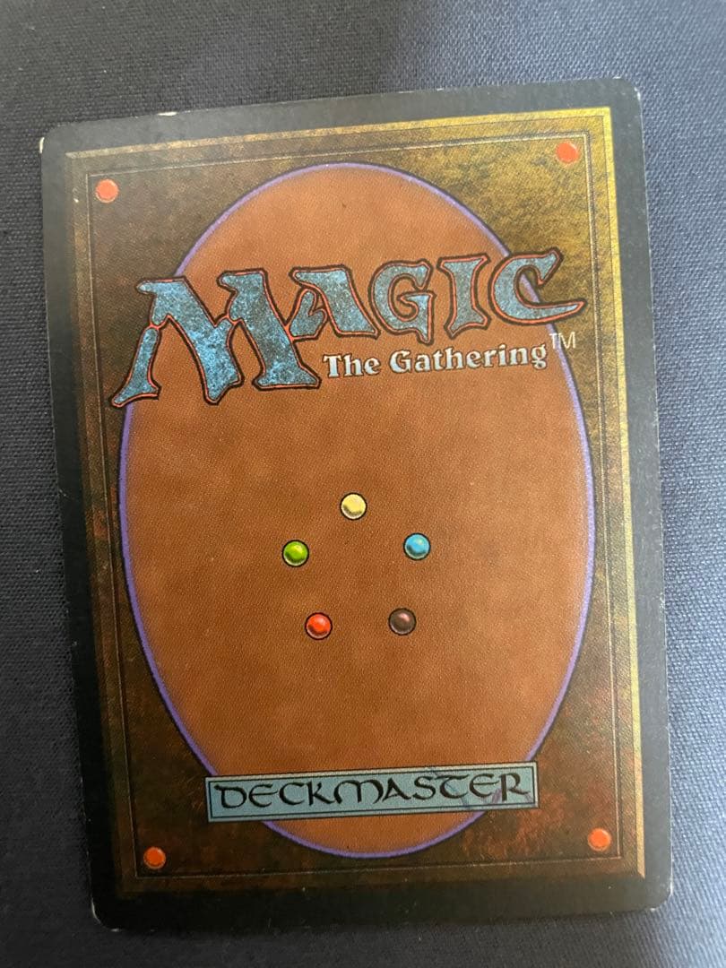 mtg Isola Tropicale 2　Taiga 1　繰り返す悪夢 1