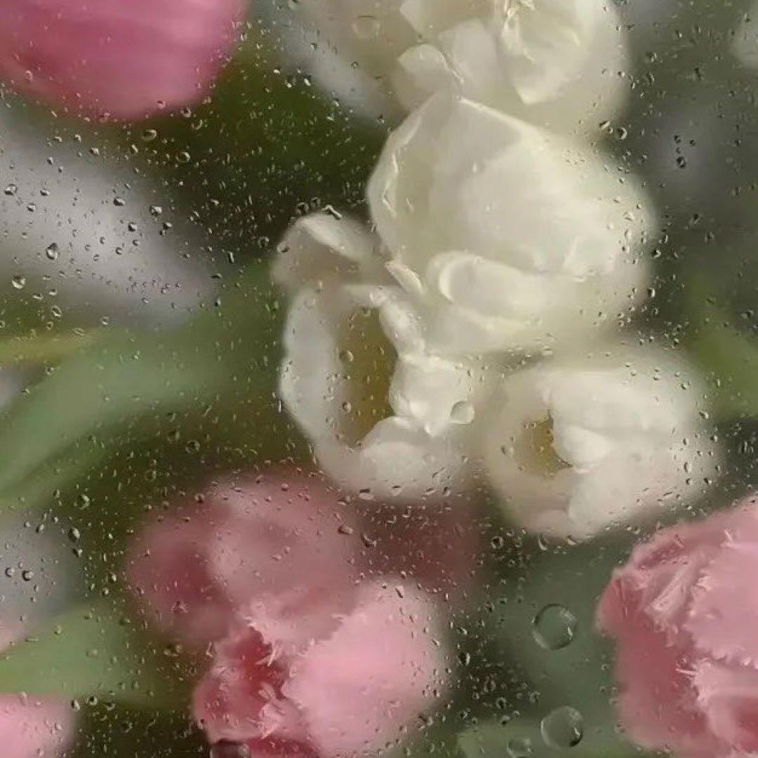 ともぞうプロフ必GW発送不可