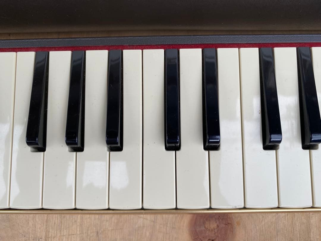 suzuki pro-37 専用ケース付き　ピアニカ　中古品