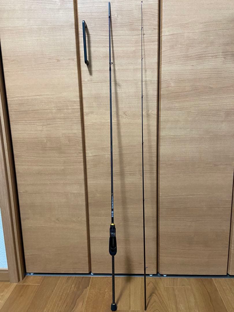 エバーグリーン ソルティーセンセーション スペリオル リンバーティップSS