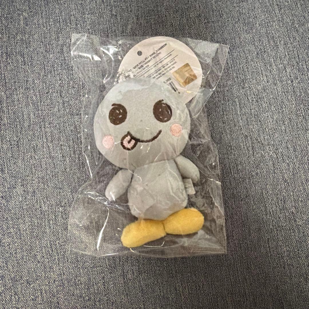 RIIZE ウンソク　ソンヨンドリ　10cmドール　キーリング