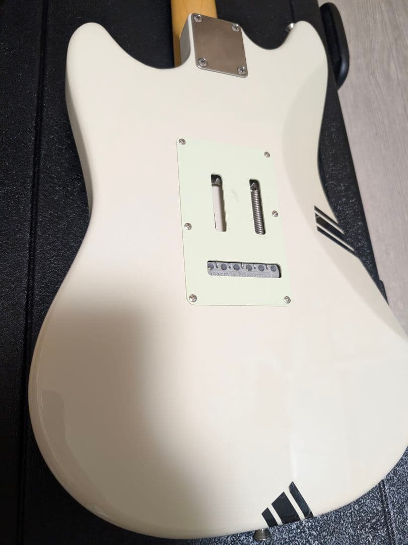 フジゲン　サイクロン　nccy